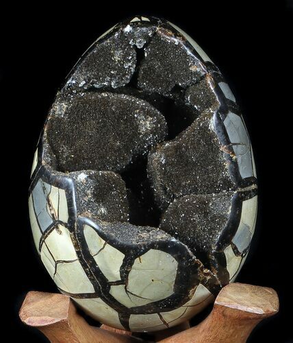 Septarian Dragon Egg Geode - Black Crystals #36089